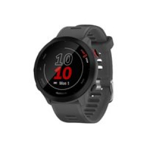 GARMIN 010-02562-13 Smartwatch 42 mm MIP Grau GPS (010-02562-13) 