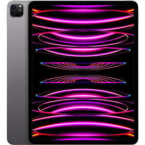APPLE iPad Pro 12.9 Wi-Fi spacegrau (6.Gen.) 32,77cm (12,9") M2 16GB 2TB iPadOS 