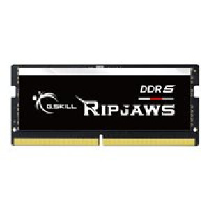  G.SKILL 32GX1-RS 1.2 32GB Arbeitsspeicher 