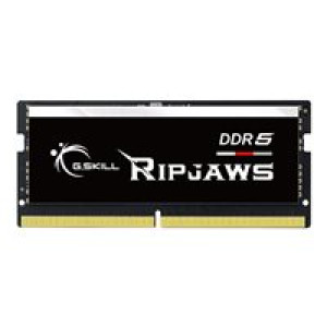  G.SKILL 32GX1-RS 1.2 32GB Arbeitsspeicher 