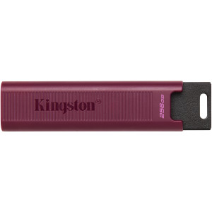  KINGSTON DT-Maxa 256GB  