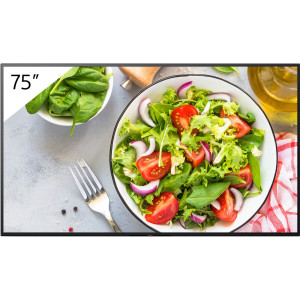 SONY Bravia FW-75BZ35L Professional Display 216cm (75") 