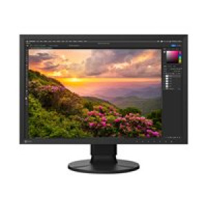  EIZO CS2400S 61cm (24")  