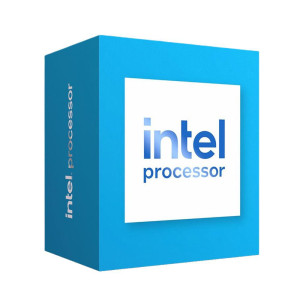  INTEL Processor 300 S1700 Box Prozessoren 
