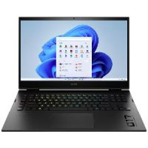 Notebook  HP OMEN 43,9cm (17,3") i9-13900HX 32GB 2TB W11 Laptop kaufen 