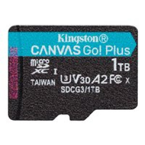  KINGSTON Canvas Go Plus 1TB  