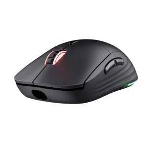  TRUST GXT927 REDEX+ HIGH PERF Gaming-Maus Funk Optisch Schwarz 6 Tasten 25600 dpi Beleuchtet Mäuse 