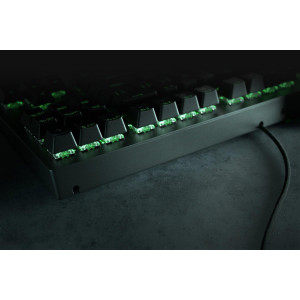  RAZER Blackwidow V3 Tenkeyless - Standard - USB - QWERTY Tastaturen 