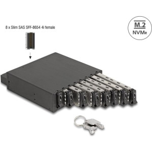 DELOCK 5.25 Wechselrahmen für 8 x M.2 NVMe SSD Slim SFF-8654 