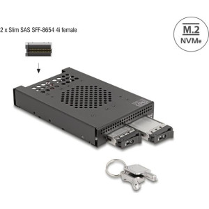 DELOCK 3.5 Wechselrahmen für 2 x M.2 NVMe SSD Slim SFF-8654 