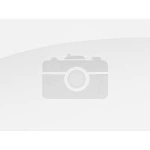 STELLAR Repair for Quickbooks 1 yr. Subscription License - Technician - 