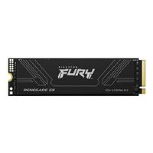  KINGSTON FURY Renegade G5 1TB  