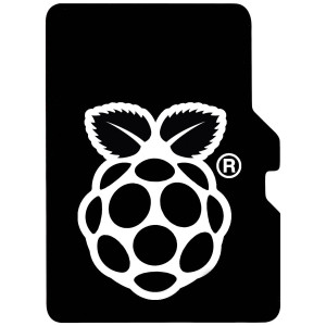  RASPBERRY PI SC1629 microSD-Karte 64GB  